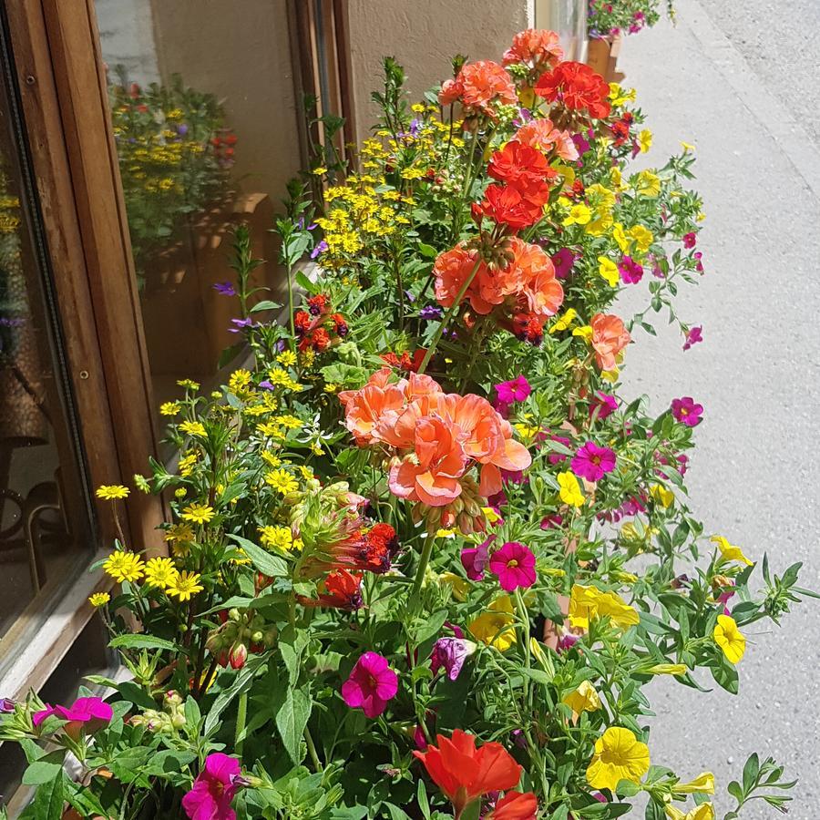 Hotel-Chalet Les Melezes Valloire Dış mekan fotoğraf